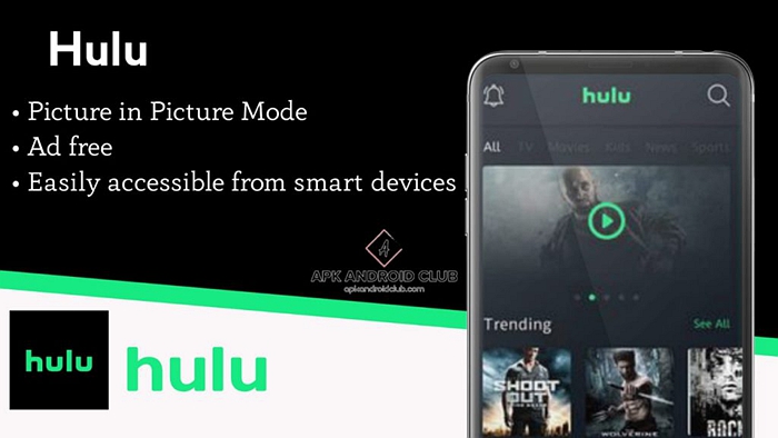free hulu video downloader that really works