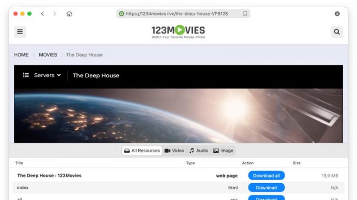 1234movies websites sales