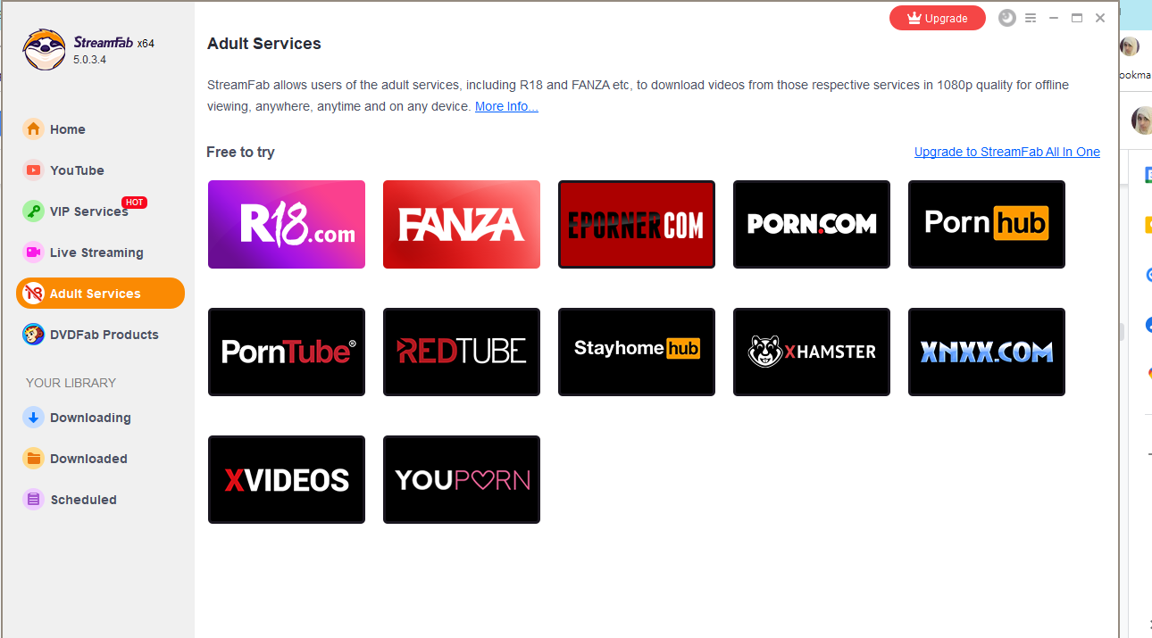 The 8 Best Porn Video Downloader in 2024