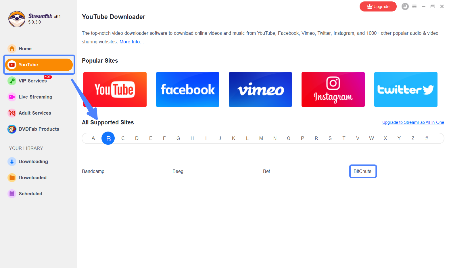 bitchute downloader