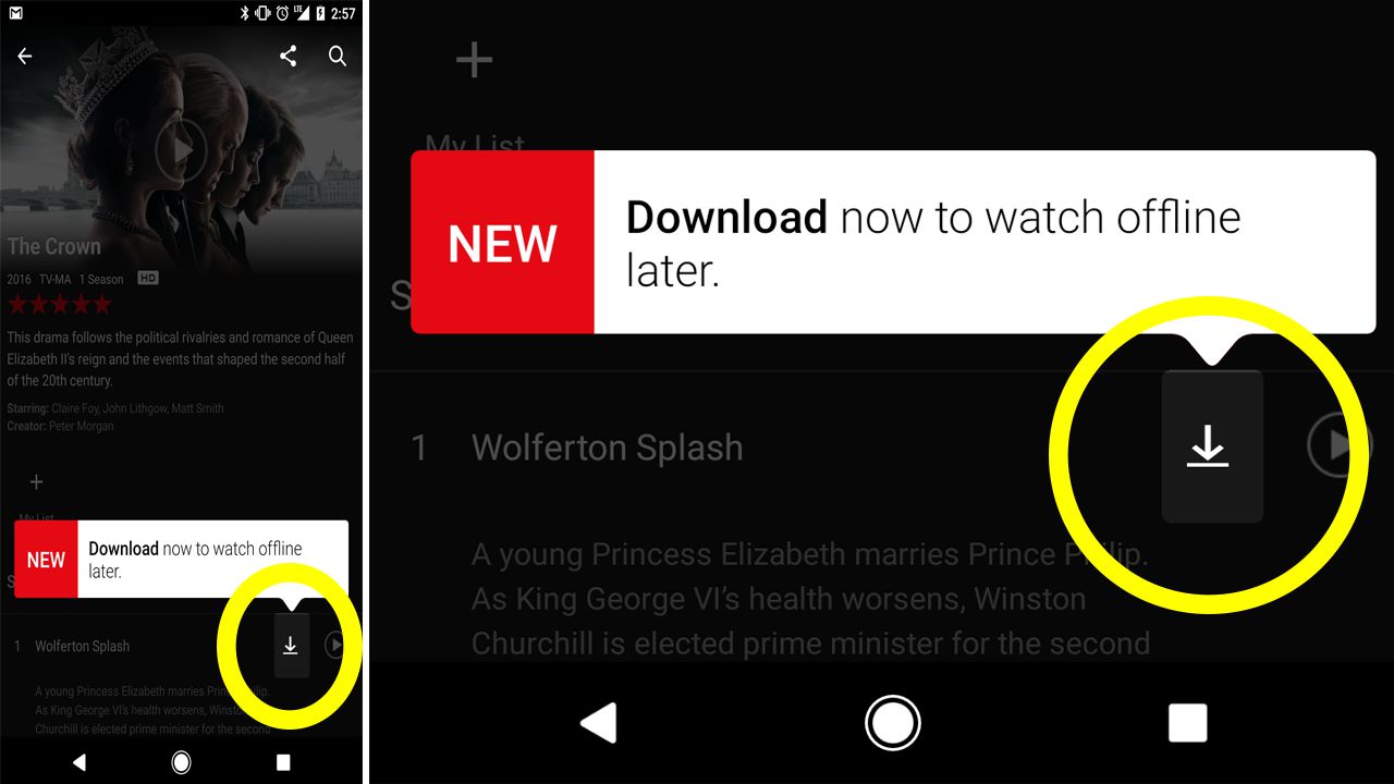 netflix download button