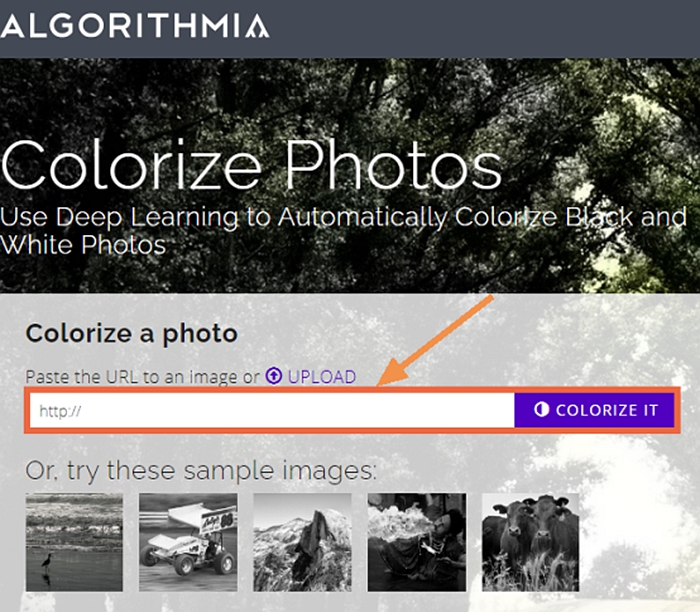 Colorize Black and White Photos [Windows, Mac, iPhone, Online]