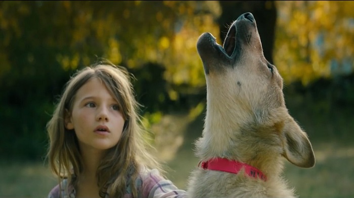 Top 10 Dog Movies On Netflix That You Can Stream Right Now