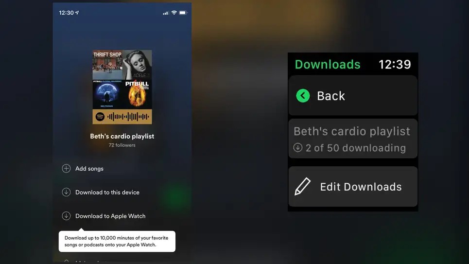 How to Download Spotify Playlists Quickly and Easily?