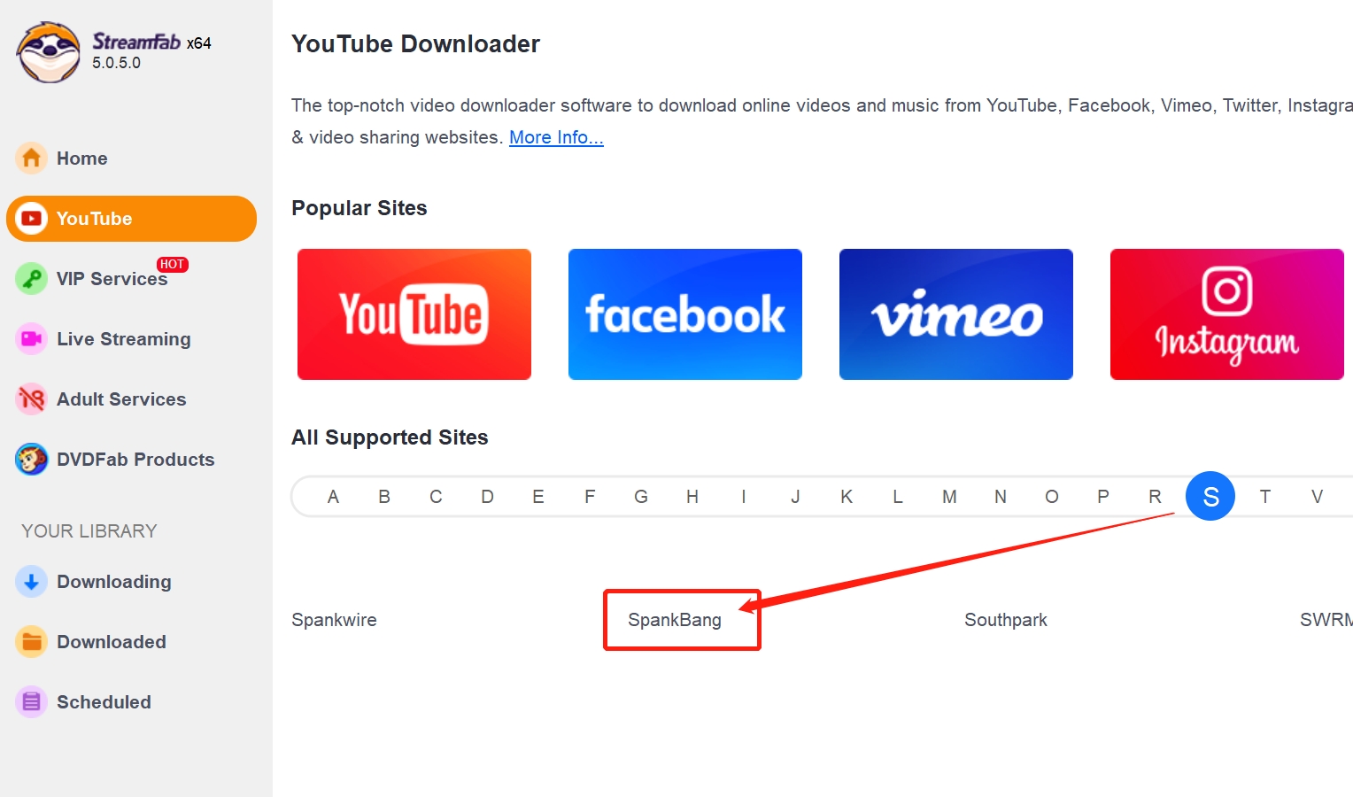 Is Spankbang Safe? How to Browse Spankbang Safely