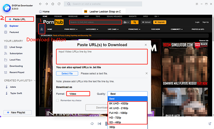 Pornhub Watch Private Videos