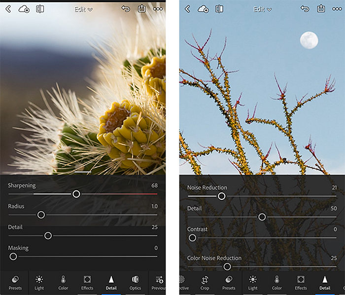How to Remove Noise from Photo Free & Easily