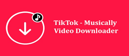 remove tiktok watermark online remove tiktok watermark online