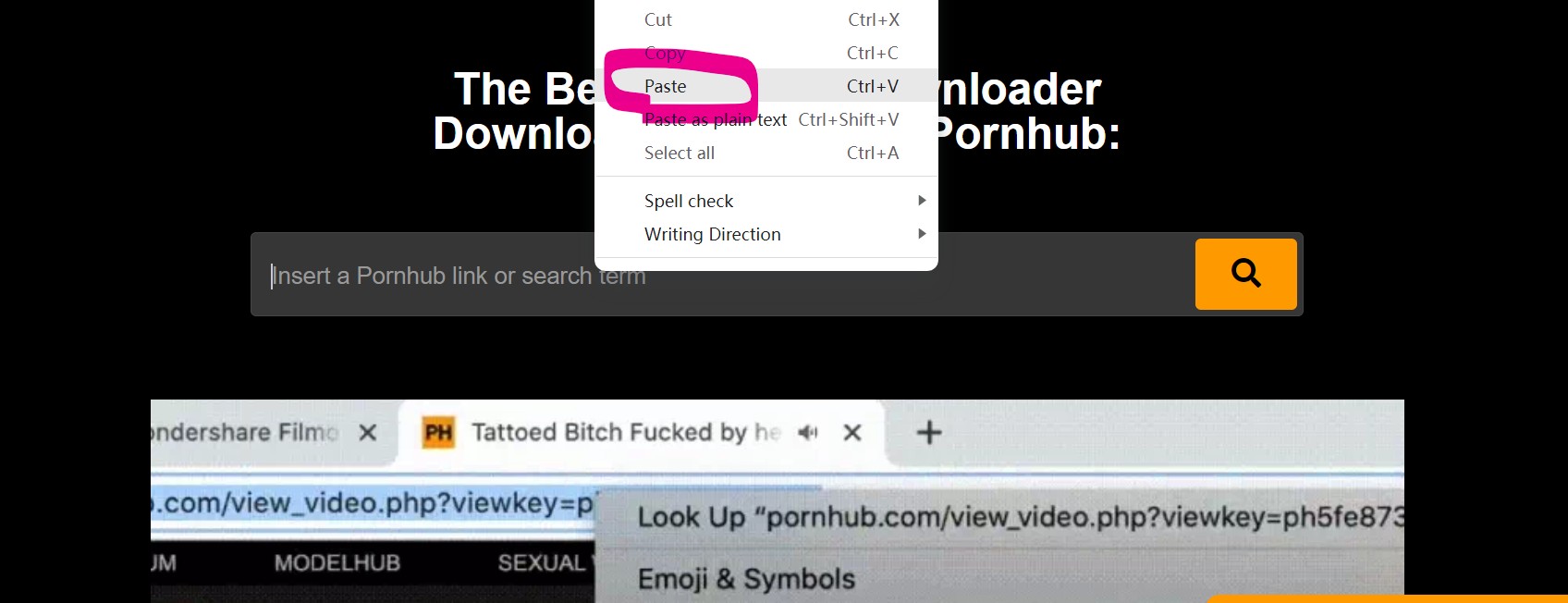 How to Save Porn Videos with the Best 3 options: Steps & Advantages