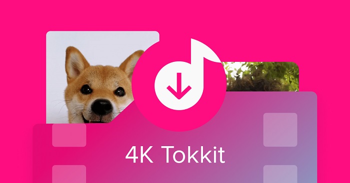 TikTok to MP4 - Download TikTok as HD Video Online Free 