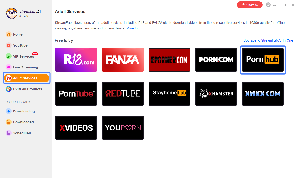 Download Porn Hub Video Download Videos from URL with the Best URL Video Downloader