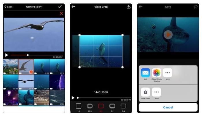How to download youtube paid videos for free on pc Cool photo video editing apps for iphone free